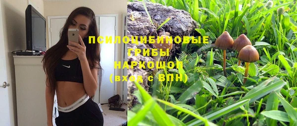 каннабис Алексеевка